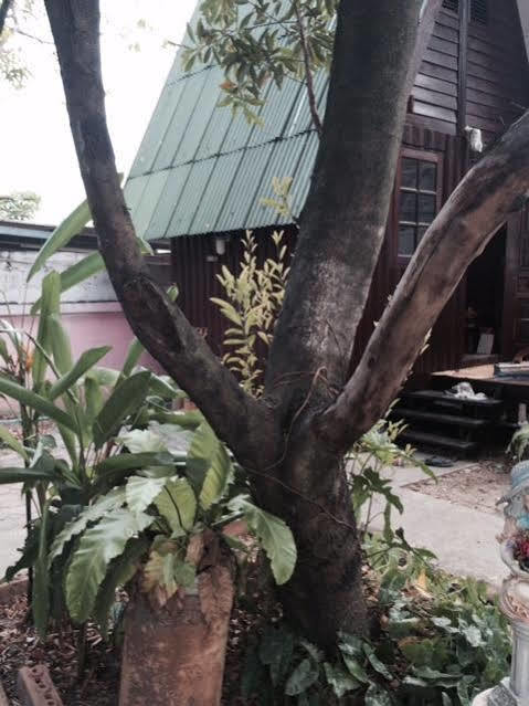 Bnr Resorts Bangkok Bagian luar foto